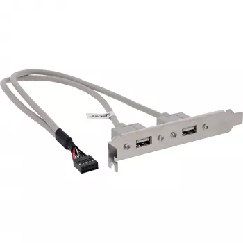 InLine USB 2.0 lizdų laikiklis 2x USB A moteriška į 1x 10 kontaktų jungtį 0,35 m