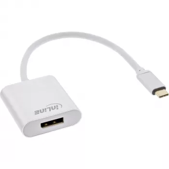 USB-C į DisplayPort adapteris InLine 64102S, 4K 60Hz, 0,2 m
