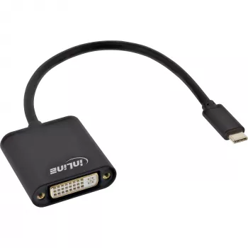 USB-C į DVI adapteris InLine 64103B