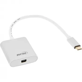 USB-C į Mini DisplayPort keitiklis InLine 64105S 4K 60Hz sidabrinis