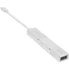 InLine USB ekrano keitiklių rinkinys 6-in-1, 4K/60Hz sidabrinis