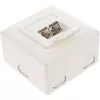 Sieninė montažinė dėžutė paviršiniam arba įleidžiamam montavimui 2x RJ45 vertikali InLine 75602K