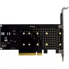 InLine 76660N Vidinė M.2 sąsajos plokštė PCIe vyriška 64 Gbit/s
