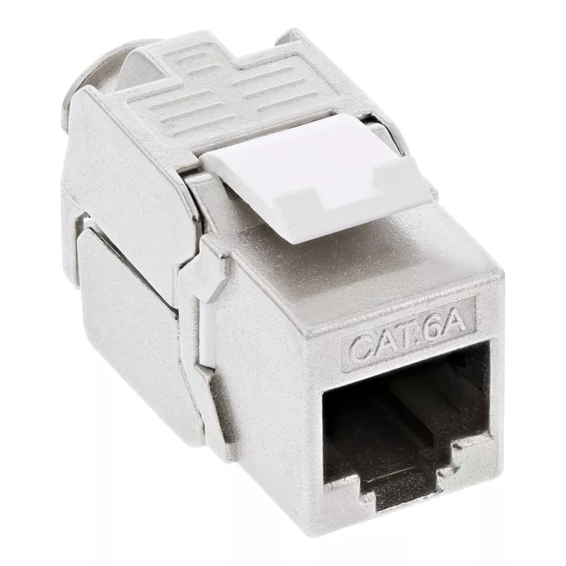 InLine Cat.6A įleidžiama dėžutė 2x RJ45 balta RAL9010