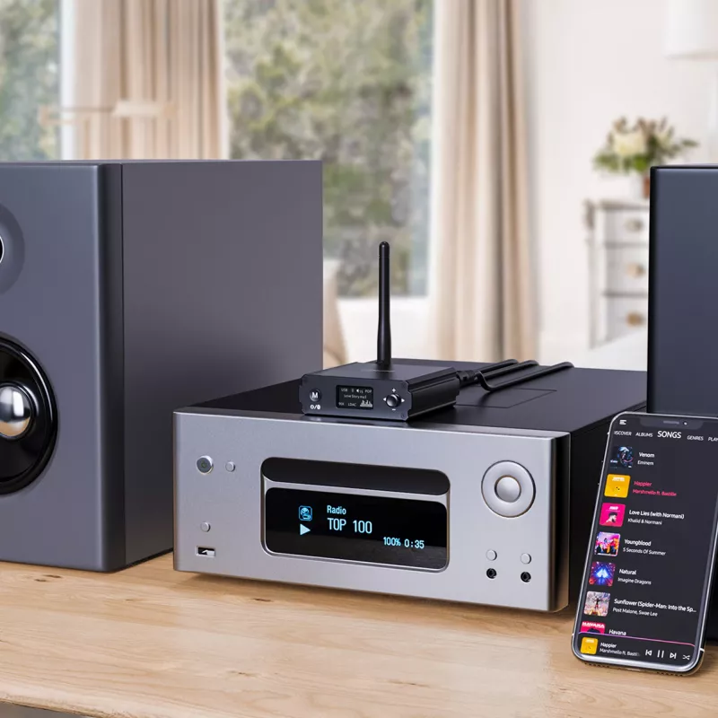InLine Bluetooth 5.1 HiFi imtuvas ir USB DAC su LCD, 30 m