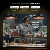 LED protingų lempučių rinkinys Philips Hue White and Colour Ambience — 2× E27 11W, Bluetooth/Zigbee