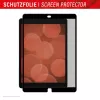 Displex TABLET PRIVACY SAFE nuimamas dvipusis privatumo filtras iPad 10,2'' (7./8./9. kartos)