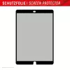 Displex TABLET PRIVACY SAFE nuimamas dvipusis privatumo filtras iPad 10,2'' (7./8./9. kartos)