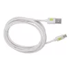 Techly ICOC MUSB20-CMAM20TW USB laidas USB 2.0 2 m USB A USB C Baltas