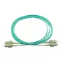 BlueOptics SFP3232EU1MK InfiniBand šviesolaidinis kabelis 1 m SC žalias