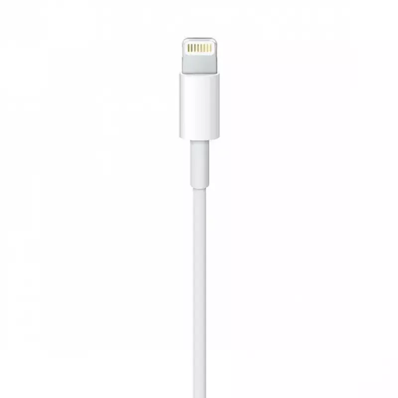 Apple MQUE2ZM Lightning–USB A laidas 1m Baltas