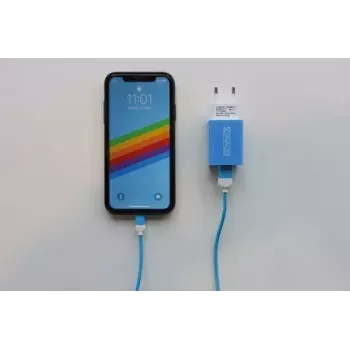 Įkroviklis Schwaiger LAD300B 511 AC patalpoms, skirtas ausinėms, išmaniesiems telefonams, planšetėms