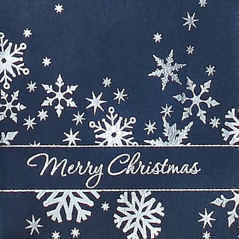 Dovanų maišelis Sigel GT111