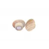 Medinis magnetas Legamaster 25mm 5vnt