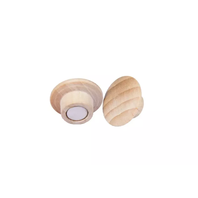 Medinis magnetas Legamaster 25mm 5vnt