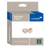 Medinis magnetas Legamaster 25mm 5vnt