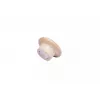 Medinis magnetas Legamaster 25mm 5vnt
