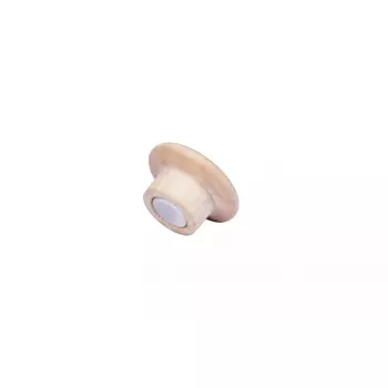 Medinis magnetas Legamaster 25mm 5vnt