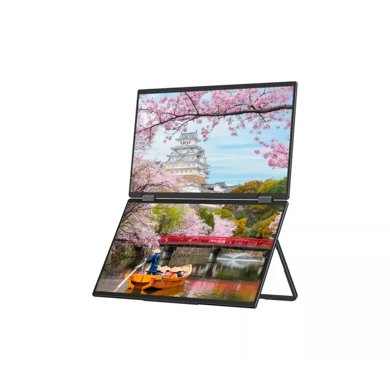 JAPANNEXT JN-DMD-IPS156F nešiojamas monitorius 39,6 cm (15,6 colio) Full HD IPS LCD juodas