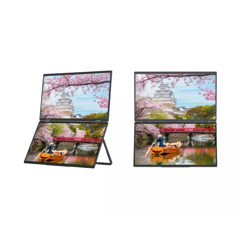 JAPANNEXT JN-DMD-IPS156F nešiojamas monitorius 39,6 cm (15,6 colio) Full HD IPS LCD juodas