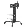 Techly ICA-TR8 televizoriaus stovas 177,8 cm (70 colių) juodas