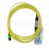 BlueOptics CBL-MPO12-4LC-SMF-7M-BO InfiniBand šviesolaidinis kabelis 7,5 m MPO 4x LC