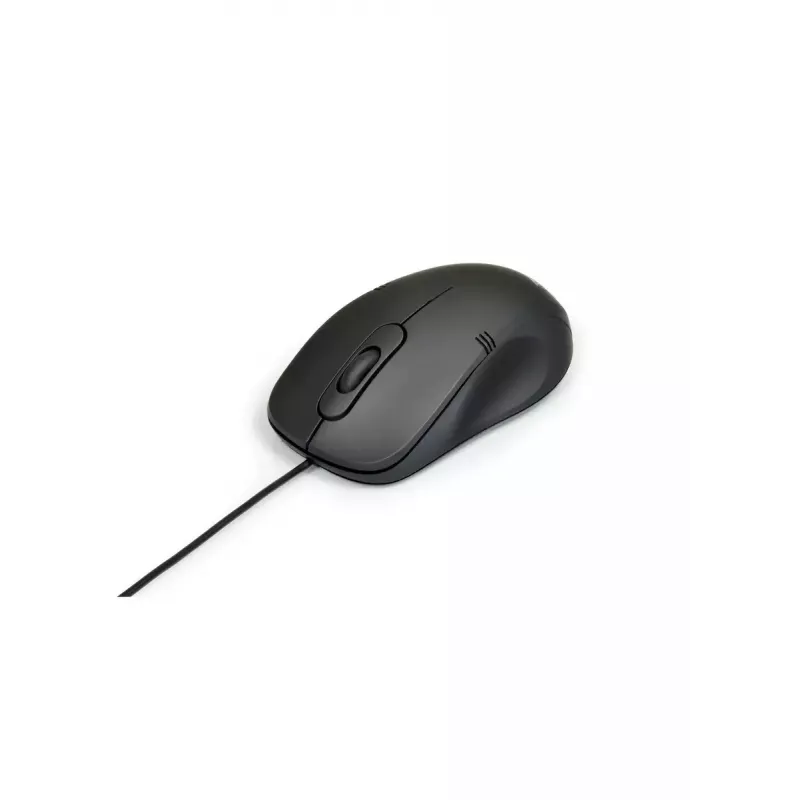 Port Designs 900400-PRO USB Type-A laidinė pelė