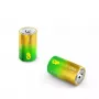 Vienkartinė baterija GP Batteries 03013AUETA-B2 D Šarminė