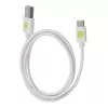 Techly ICOC MUSB20-CMAM10TW USB laidas USB 2.0 1 m USB A USB C Baltas
