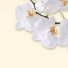 Popierius meninis Sigel DP904 Baltoji orchidėja 50 lapų A4 90 g/m²