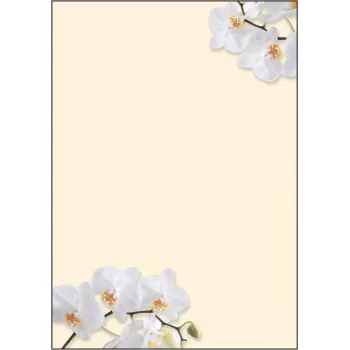 Popierius meninis Sigel DP904 Baltoji orchidėja 50 lapų A4 90 g/m²