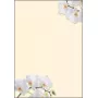 Popierius meninis Sigel DP904 Baltoji orchidėja 50 lapų A4 90 g/m²