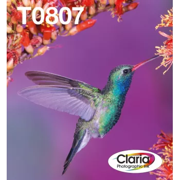 Rašalo kasetės multipakas Epson Hummingbird T0807 – 6 spalvų (juoda, žydra, šviesiai žydra, šviesiai purpurinė, purpurinė, geltona)