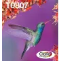 Rašalo kasetės multipakas Epson Hummingbird T0807 – 6 spalvų (juoda, žydra, šviesiai žydra, šviesiai purpurinė, purpurinė, geltona)