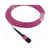 BlueOptics EMC CBL-MPO12-4LC-OM4-2M šviesolaidinis kabelis MPO į 4x LC 2 m