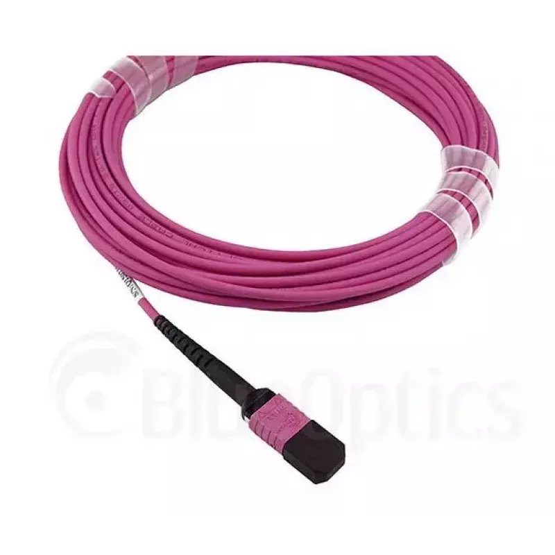 BlueOptics EMC CBL-MPO12-4LC-OM4-2M šviesolaidinis kabelis MPO į 4x LC 2 m