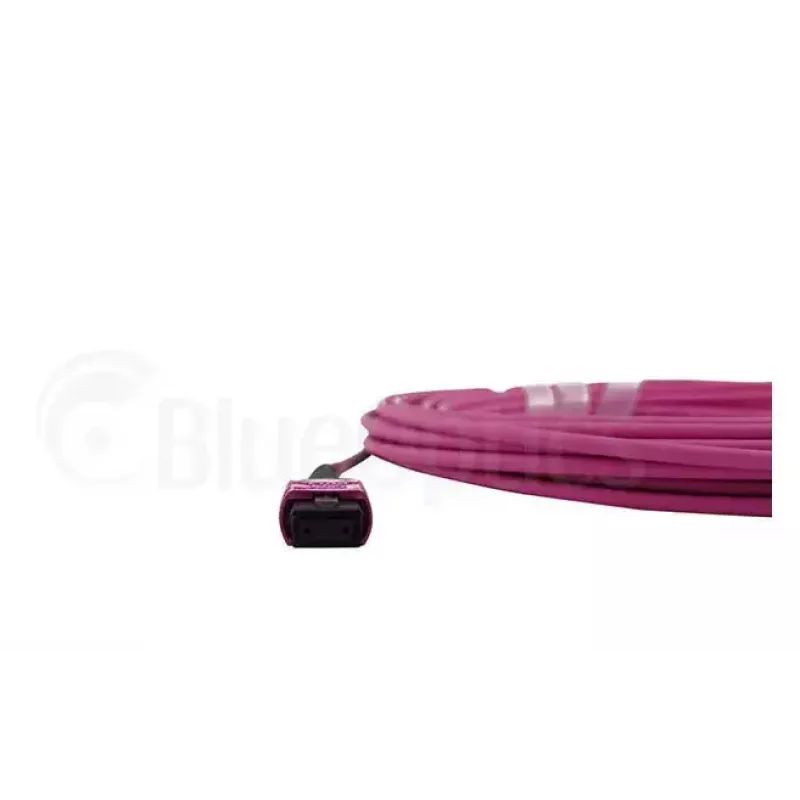 BlueOptics EMC CBL-MPO12-4LC-OM4-2M šviesolaidinis kabelis MPO į 4x LC 2 m