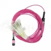 BlueOptics EMC CBL-MPO12-4LC-OM4-2M šviesolaidinis kabelis MPO į 4x LC 2 m