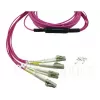BlueOptics EMC CBL-MPO12-4LC-OM4-2M šviesolaidinis kabelis MPO į 4x LC 2 m
