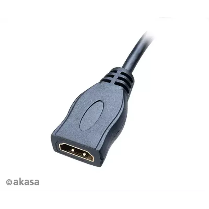 HDMI adapterio kabelis Akasa AK-CBHD09-25BK (Micro HDMI → Standartinis HDMI, 0,25 m)