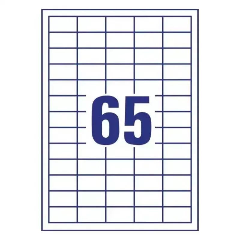 Lipnios etiketės stačiakampės AVERY LR3666-10