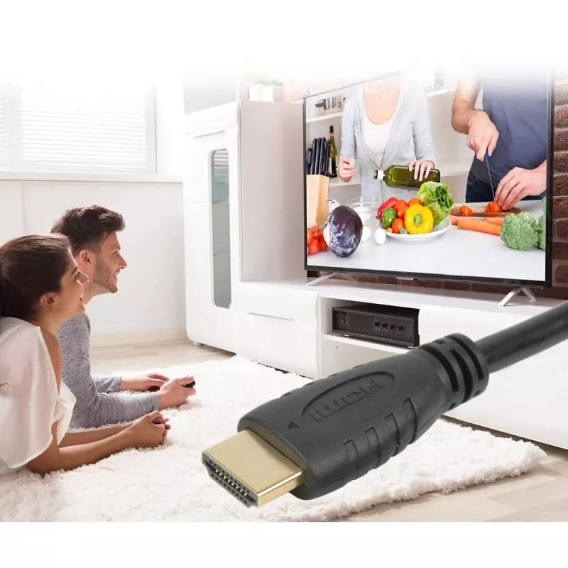 Techly HDMI 2.0 laidas A/A M/M 2m juodas ICOC HDMI2-4-020