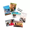 HP matinis foto popierius 180 g/m² 10x15 cm (101x152 mm) 25 lapų