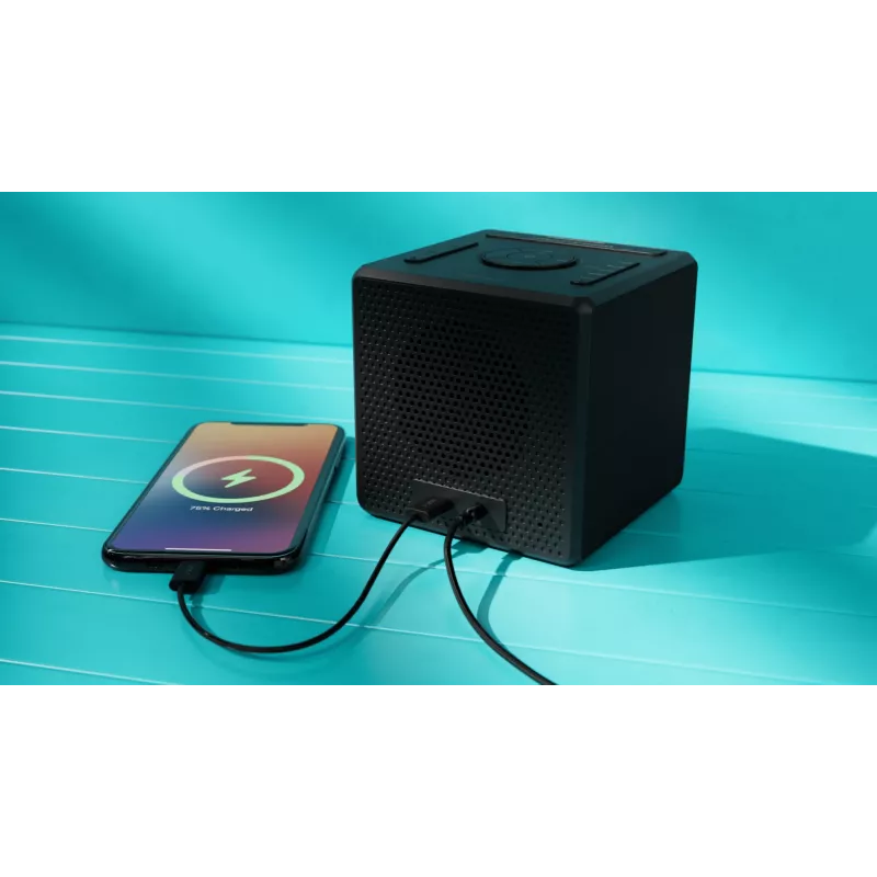 Skaitmeninis žadintuvas Philips TAR4600/10, juodas, LCD, AC / baterija
