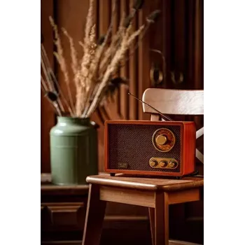 Nešiojamas radijas Adler AD 1171 – AM/FM, 10 W RMS, Bluetooth, išorinė antena, bronzinis, 290×200×172 mm