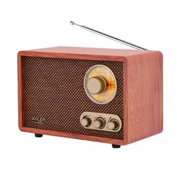 Nešiojamas radijas Adler AD 1171 – AM/FM, 10 W RMS, Bluetooth, išorinė antena, bronzinis, 290×200×172 mm
