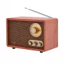 Nešiojamas radijas Adler AD 1171 – AM/FM, 10 W RMS, Bluetooth, išorinė antena, bronzinis, 290×200×172 mm