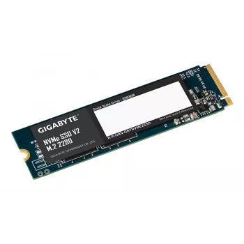 GIGABYTE G3NVMEV2256G vidinis kietojo kūno diskas 256 GB M.2 PCI Express 3.0 NVMe 3D TLC NAND