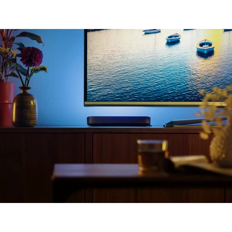Philips Hue Play šviesos juostų rinkinys pradedantiesiems – 2 Play šviesos juostos + Hue Bridge Pro, Bluetooth, juoda, C tipo kištukas