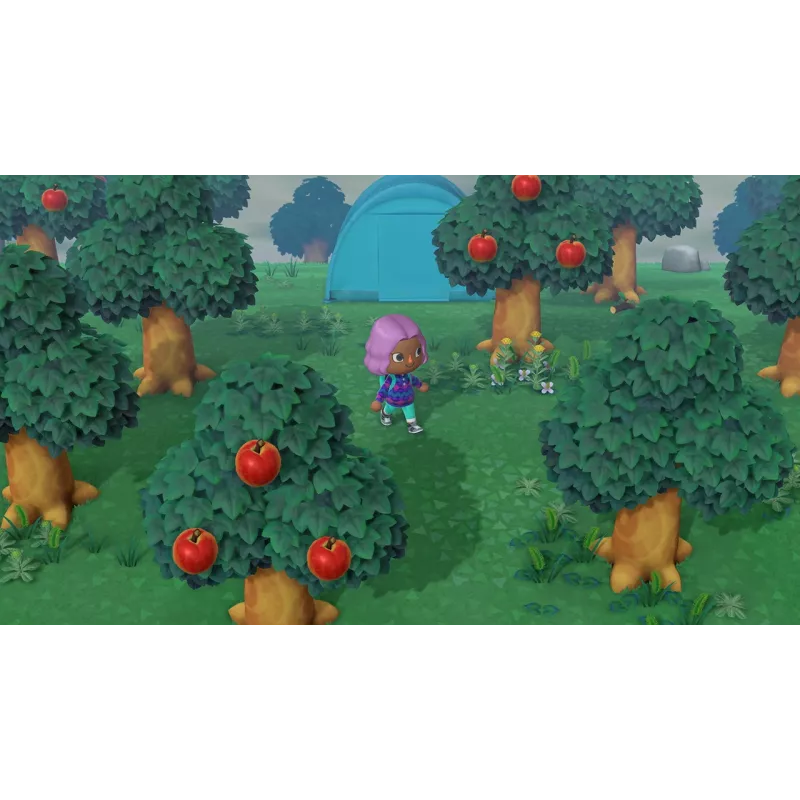 Nintendo Animal Crossing: New Horizons standartinis leidimas (anglų, vokiečių k.) Nintendo Switch
